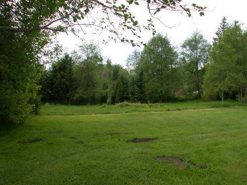 Lower level fireplace